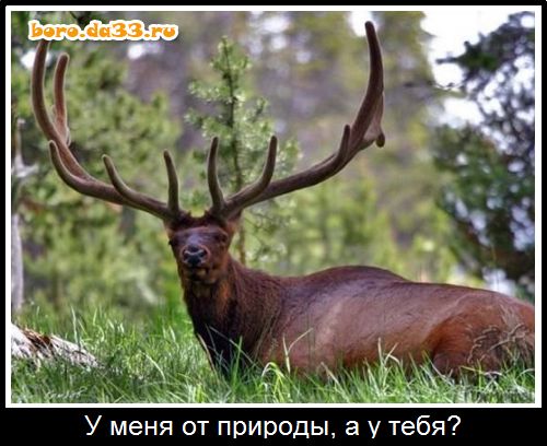    ,   ?