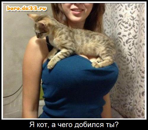  ,    ?