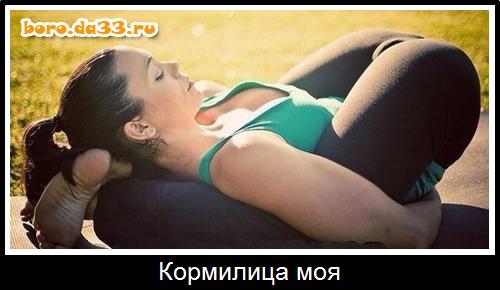 Кормилица моя