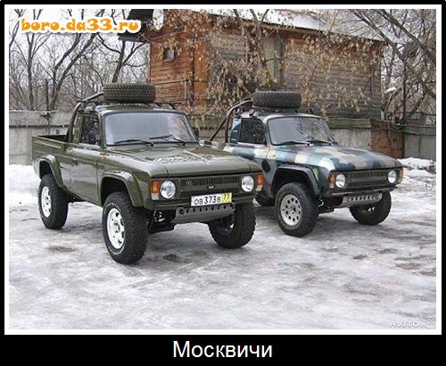 Москвичи