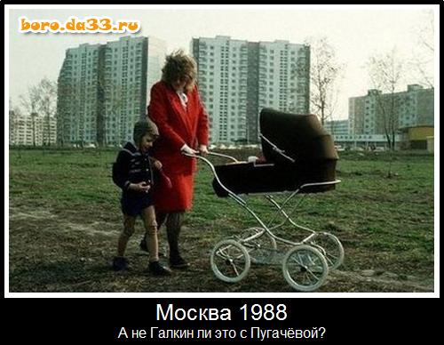  1988.       ?