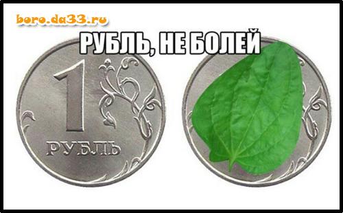 Рубль, не болей
