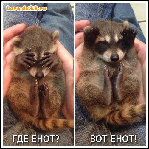 -  ? -  !