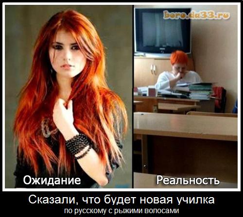 Сказали, что будет новая училка по русскому с рыжими волосами
