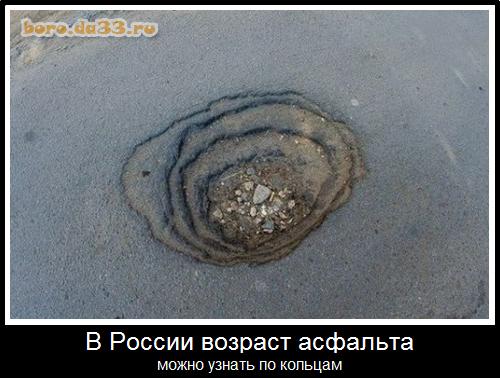 В России возраст асфальта можно узнать по кольцам