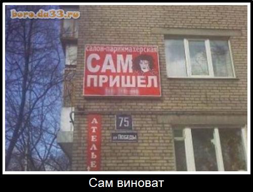 Сам виноват