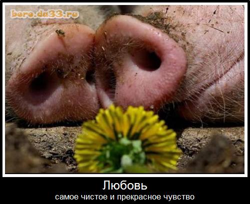 Любовь - самое чистое и прекрасное чувство