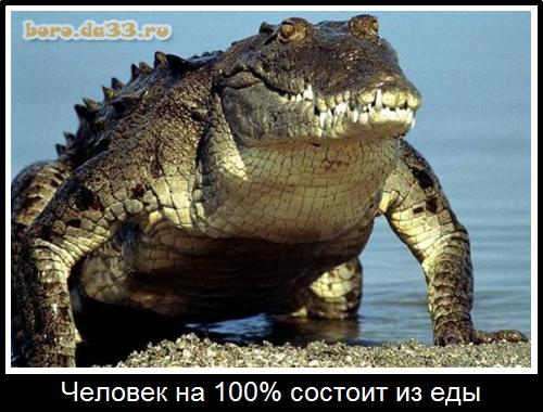   100%   