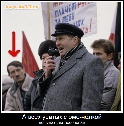 А всех усатых с эмо-чёлкой посылать на лесоповал