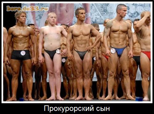 Прокурорский сын