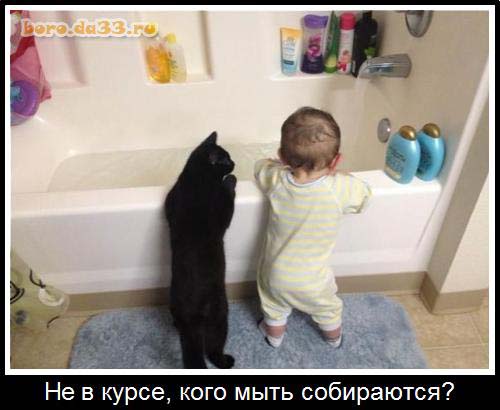 Не в курсе, кого мыть собираются?