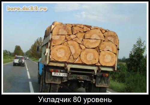  80 
