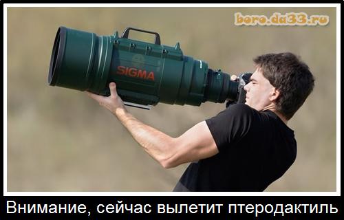 Внимание, сейчас вылетит птеродактиль