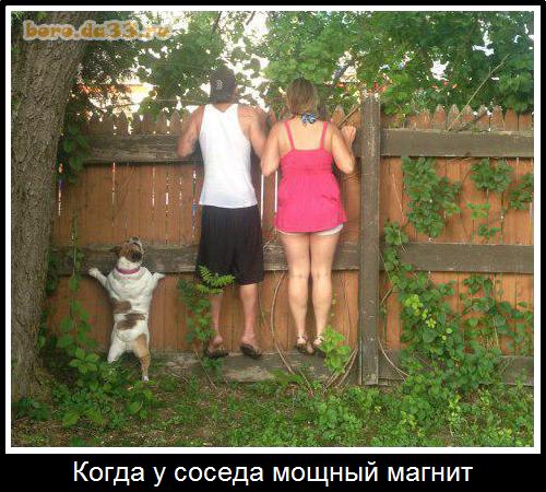 Когда у соседа мощный магнит
