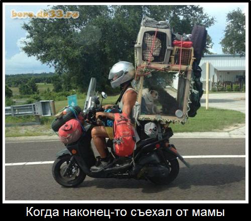 Когда наконец-то съехал от мамы