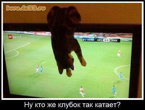 Ну кто же клубок так катает?