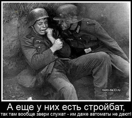 А ещё у них есть стройбат, так там вообще звери служат - им даже автоматы не дают!