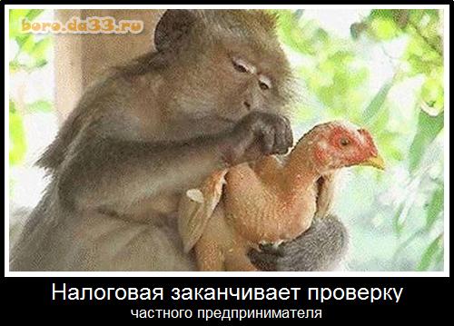 Налоговая заканчивает проверку частного предпринимателя