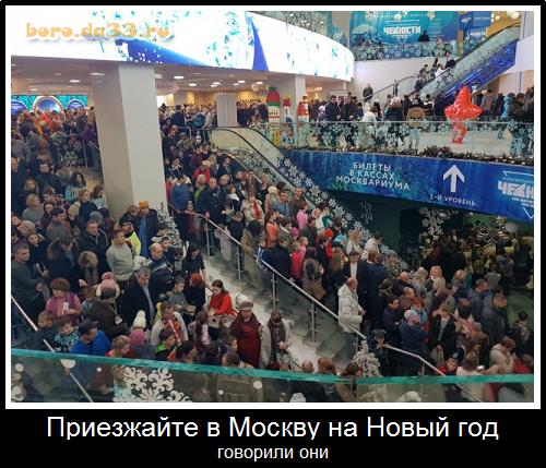 Приезжайте в Москву на Новый год, говорили они