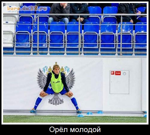 Орёл молодой