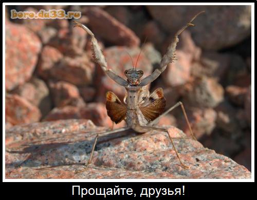 , !