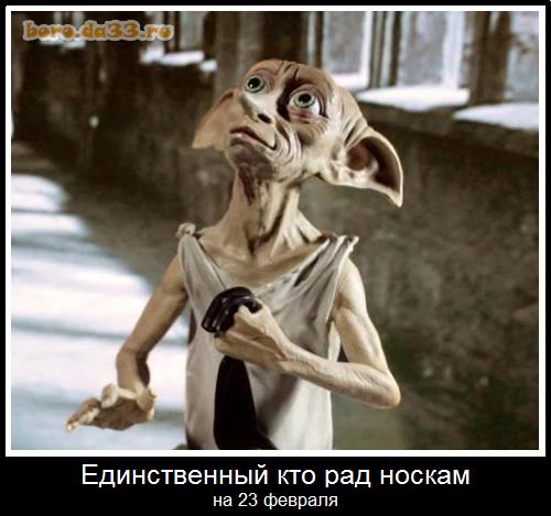 Единственный кто рад носкам на 23 февраля