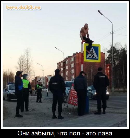  ,   -  