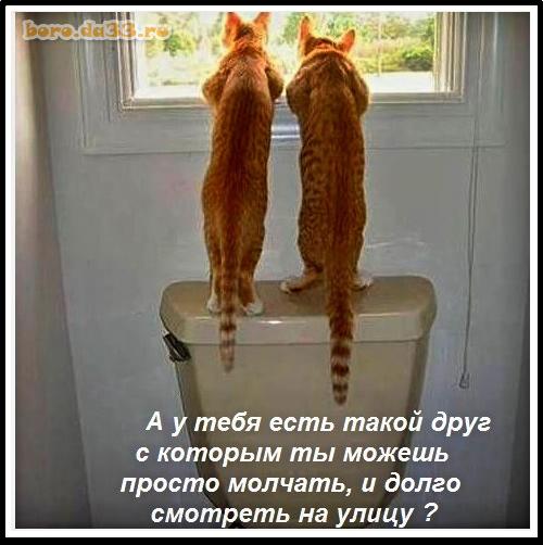            ,     ?