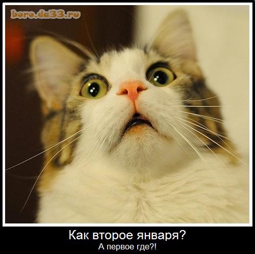 Как второе января? А первое где?!