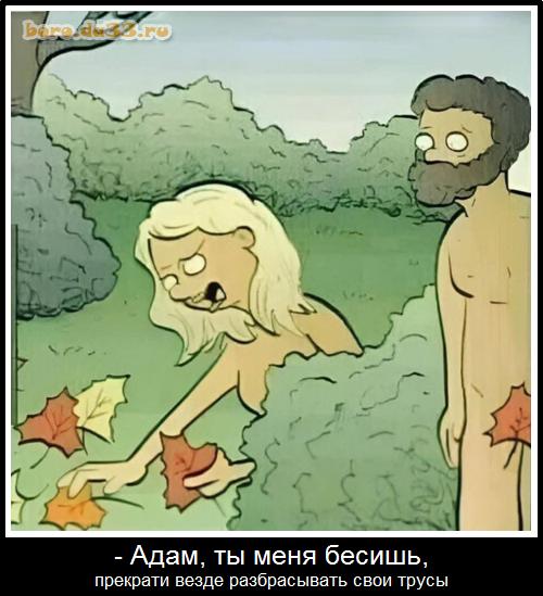 - ,   ,     