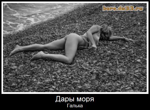 Дары моря Галька