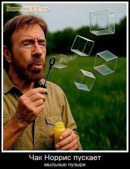 ��� ������ ������� ������� ������