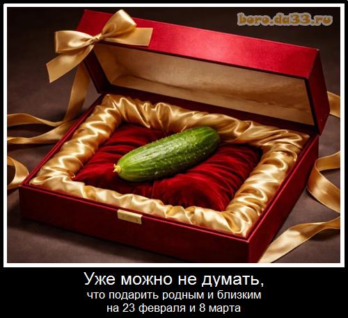 ��� ����� �� ������, ��� �������� ������ � ������� �� 23 ������� � 8 �����