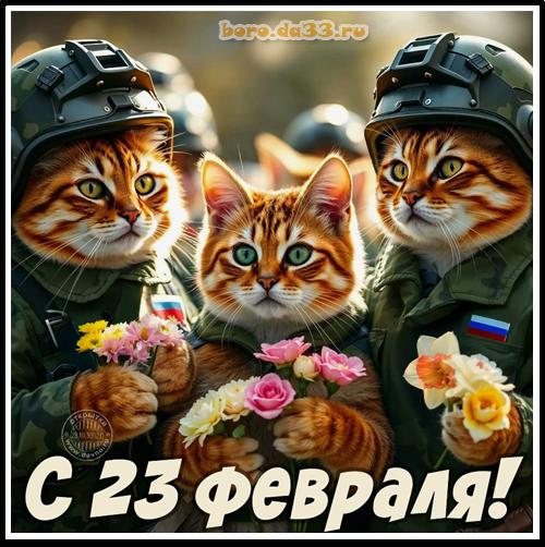 � 23 �������!