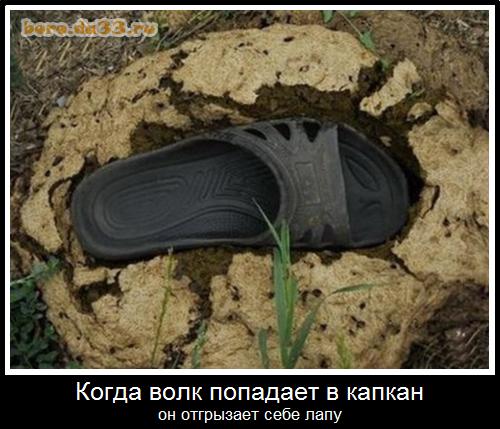 ����� ���� �������� � ������ �� ��������� ���� ����