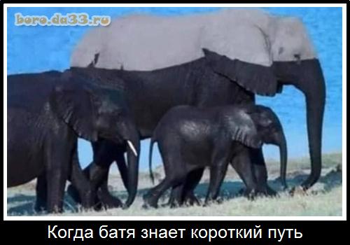 ����� ���� ����� �������� ����