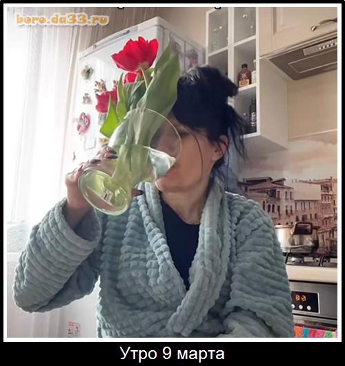 ���� 9 �����