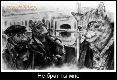 Не брат ты мне