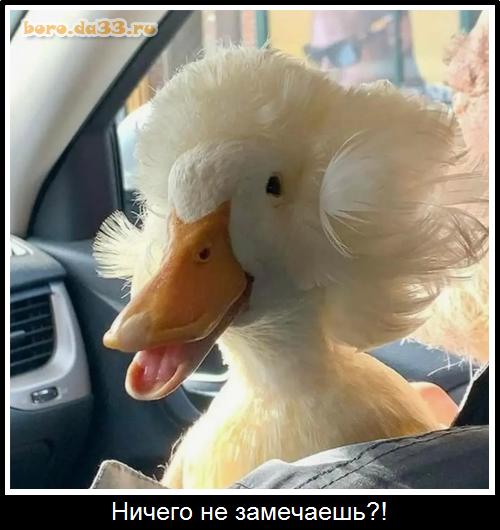 ������ �� ���������?!