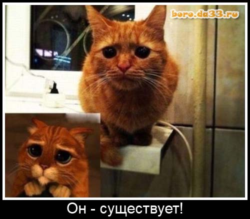 Он - сущестует!