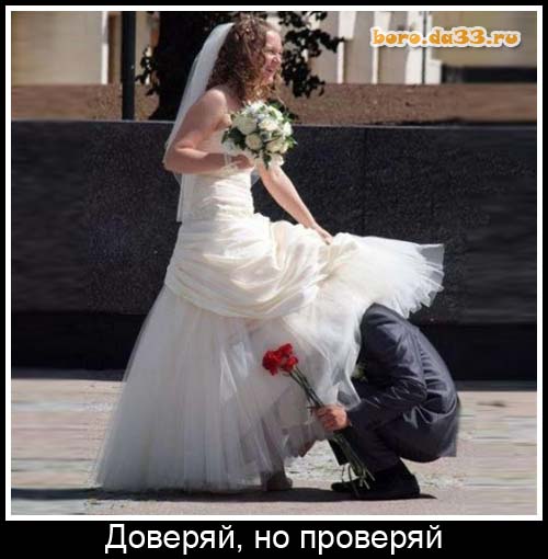 Доверяй, но проверяй