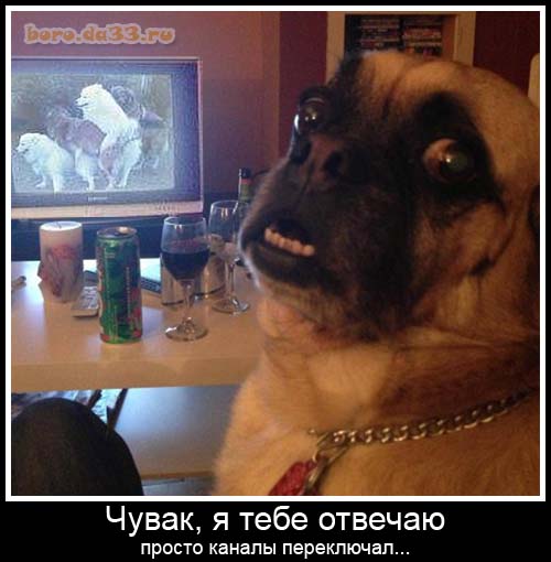 ,   ,   ...