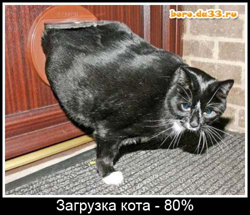   - 80%